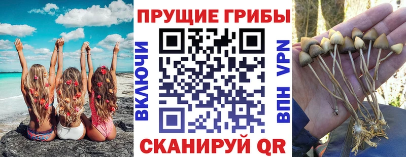 Галлюциногенные грибы MAGIC MUSHROOMS  где найти   Туринск 
